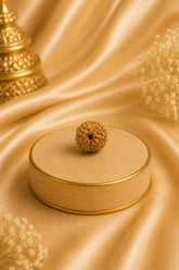 10 Mukhi Rudraksha