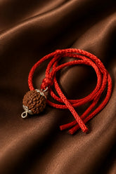 Rudraksha 10 Mukhi (Indonesia)