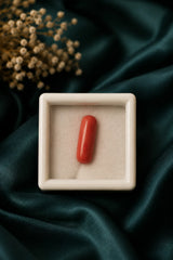 Red Coral (Moonga) 2.59 Ratti