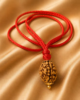 Rudraksha 3 Mukhi (North India)