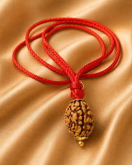 Rudraksha 3 Mukhi (North India)