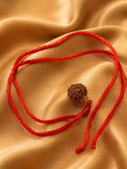 Rudraksha 6 Mukhi (Nepal)