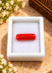 Natural Red Coral (Munga) 5.05 Ratti - Cylindrical Mixed - GGTL Certified