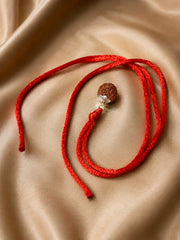 Rudraksha 7 Mukhi (Indonesia)