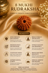 8 Mukhi Rudraksha