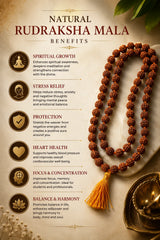 Rudraksha Mala