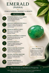 Emerald (Panna) 6.97 Ct | GGTL