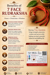 Rudraksha 7 Mukhi (Indonesia)