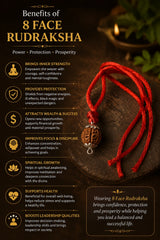 Rudraksha 8 Mukhi (Indonesia)