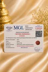 9 Mukhi Rudraksha