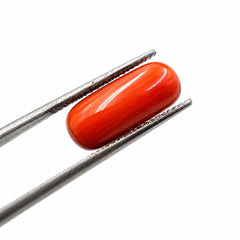 Red Coral Long 7 Carat