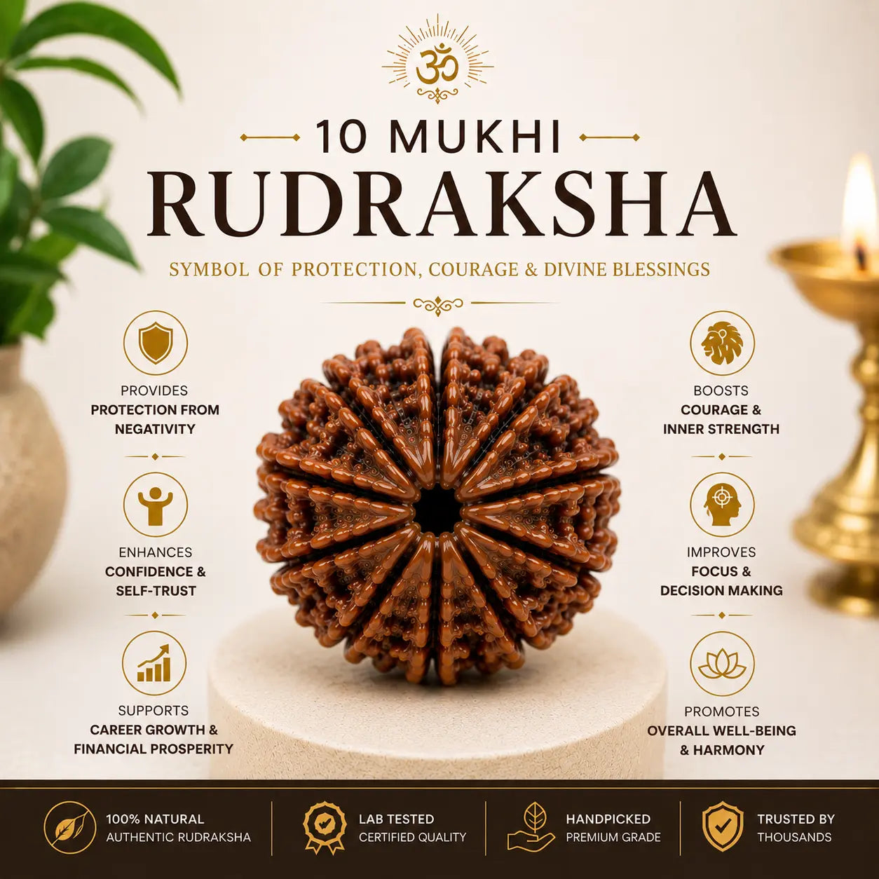 10 Mukhi Rudraksha