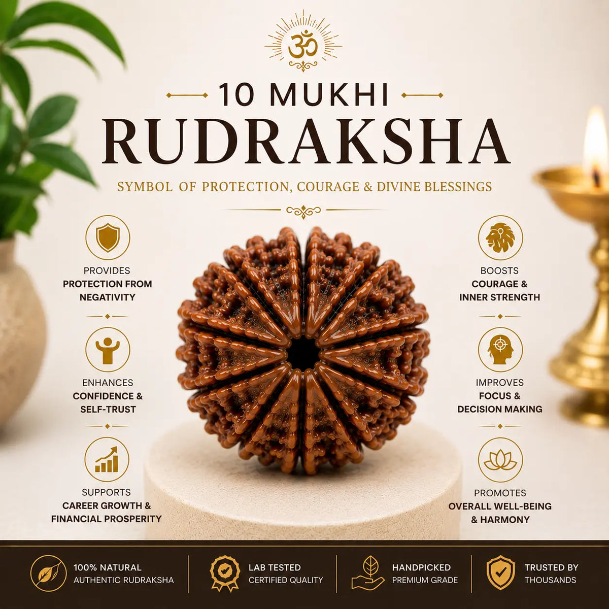 10 Mukhi Rudraksha