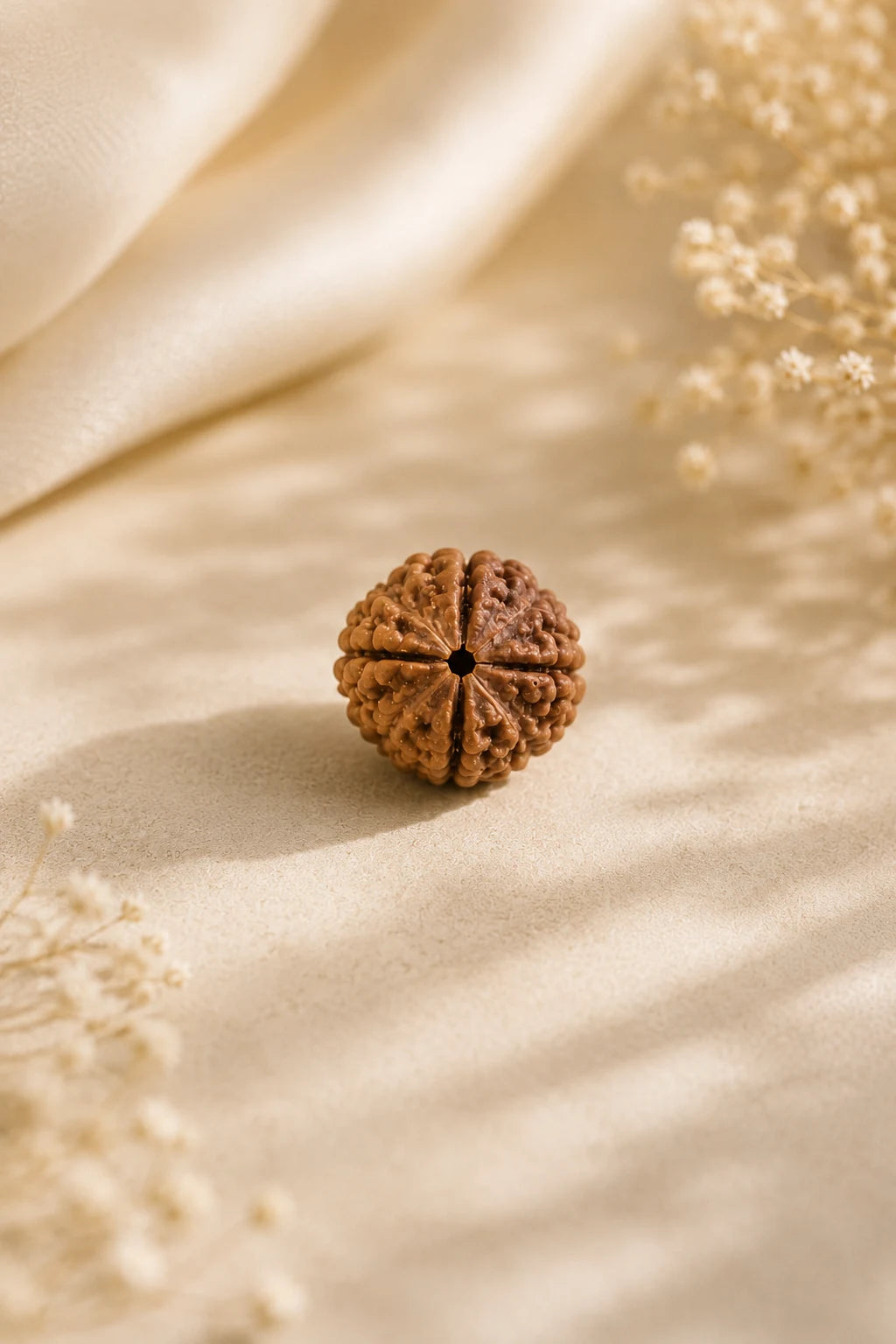 4 Mukhi Rudraksha