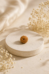 9 Mukhi Rudraksha