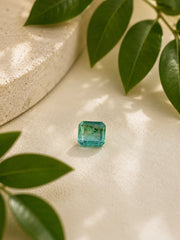 Zambia Emerald (Panna) 2.72 Ct | GGTL Certified | Report 77700137