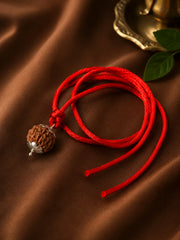 Rudraksha 8 Mukhi (Indonesia)