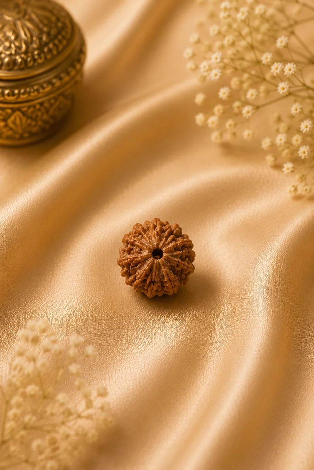8 Mukhi Rudraksha