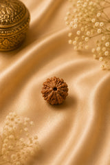 8 Mukhi Rudraksha