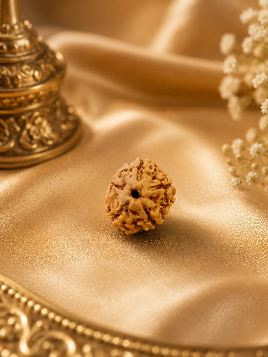 5 Mukhi Rudraksha