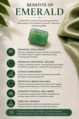 Emerald (Panna) 6.37 Ct