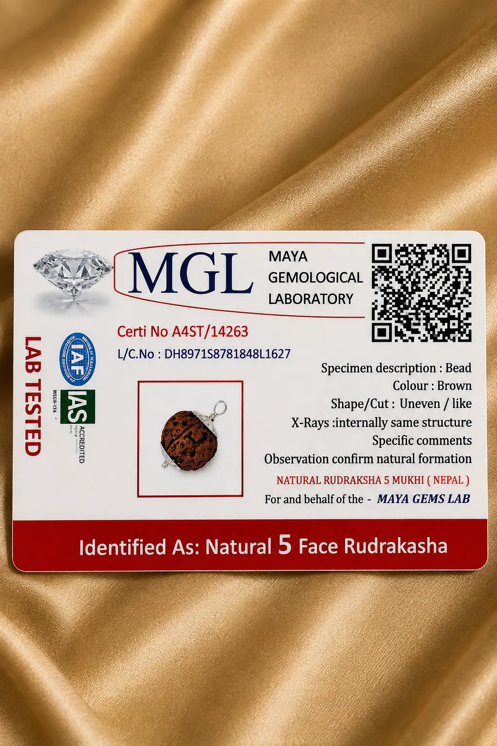 Rudraksha 5 Mukhi (Nepal)