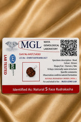 Rudraksha 5 Mukhi (Nepal)