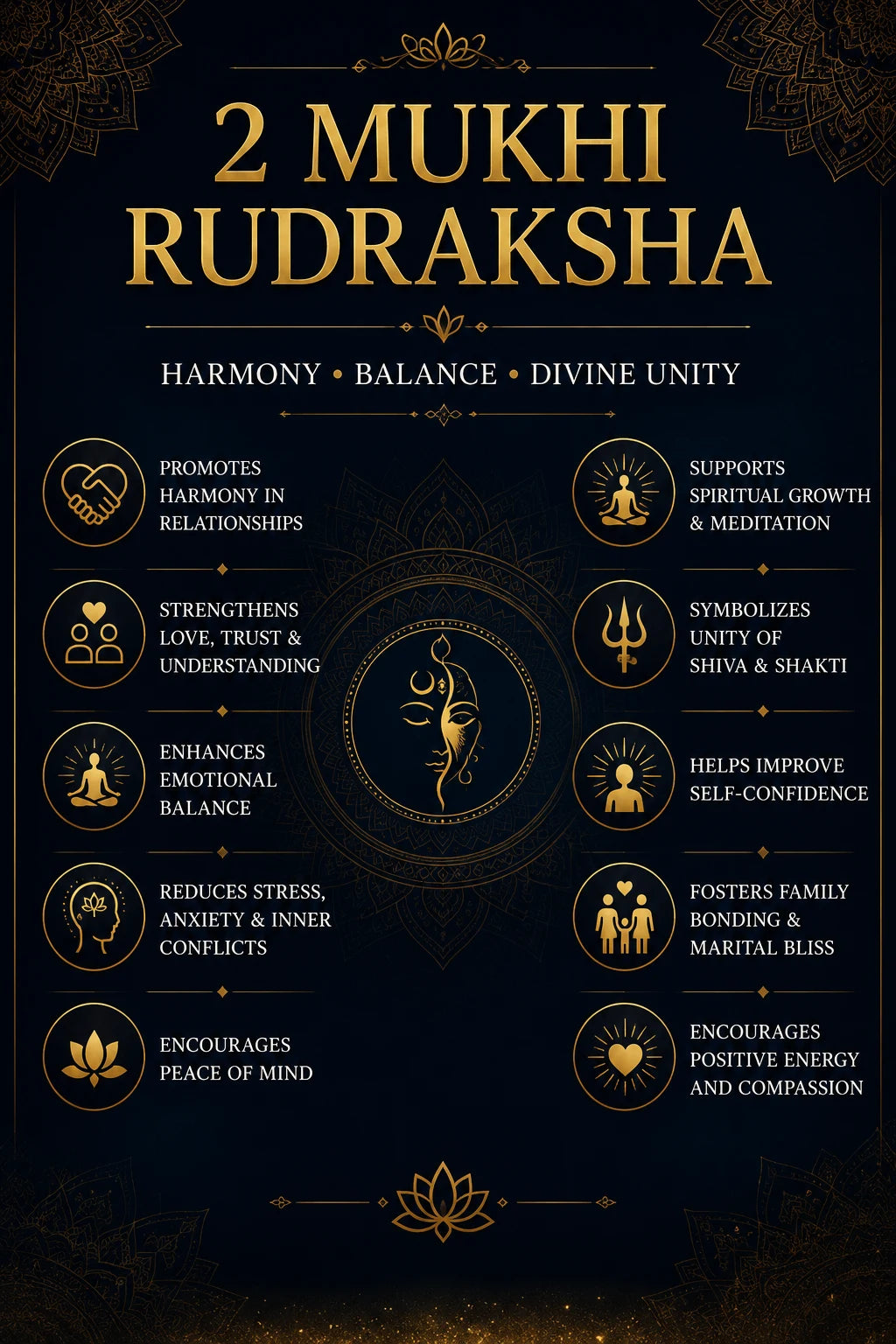 2 Mukhi Rudraksha