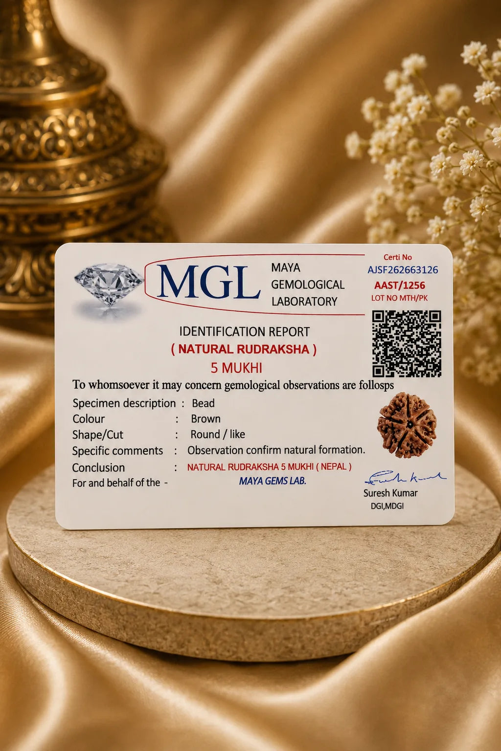 5 Mukhi Rudraksha