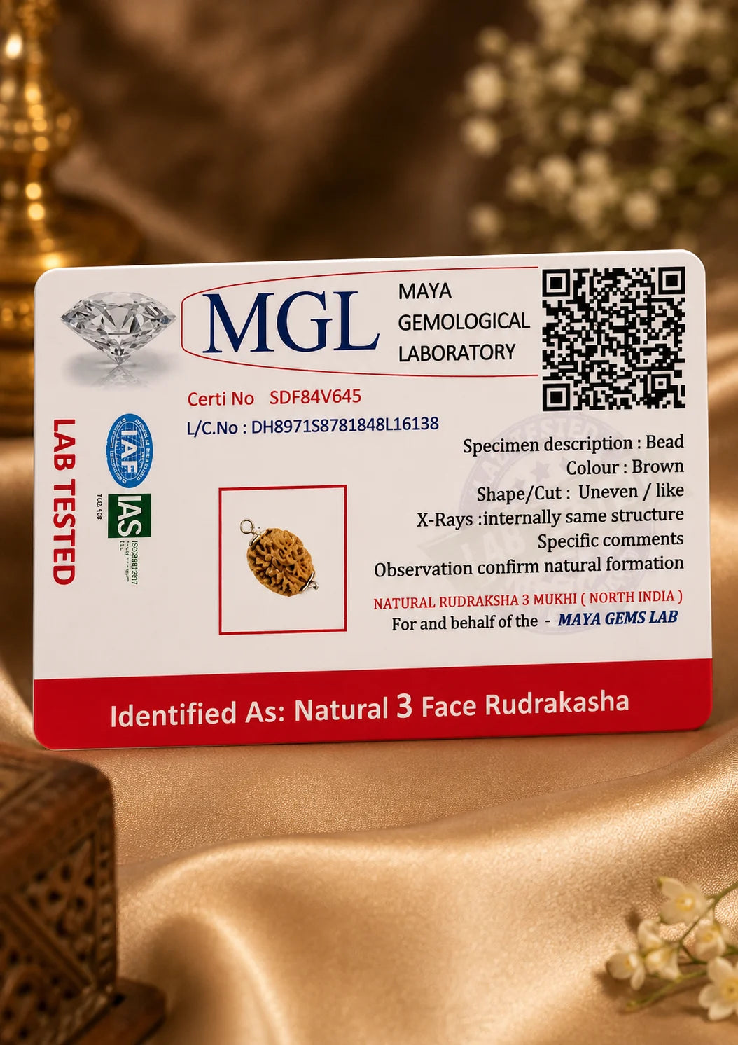 Rudraksha 3 Mukhi (North India)
