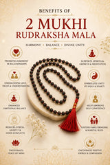 Natural Rudraksha Mala 6mm