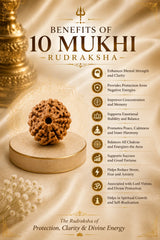10 Mukhi Rudraksha