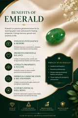 Emerald (Panna) 6.97 Ct
