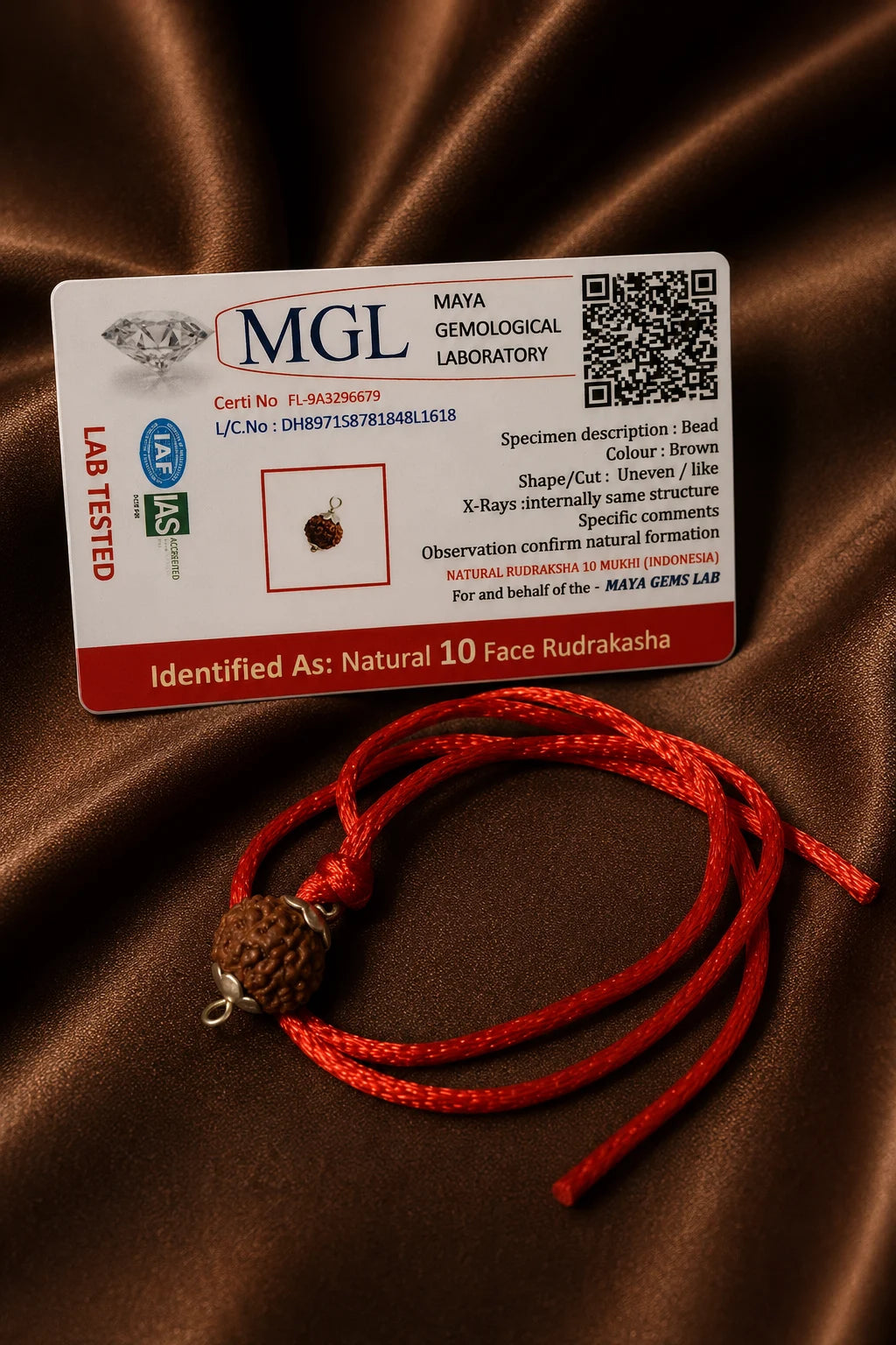 Rudraksha 10 Mukhi (Indonesia)