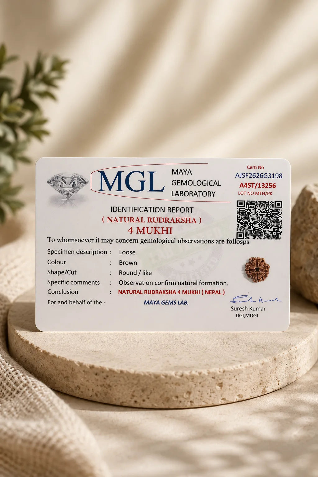 4 Mukhi Rudraksha