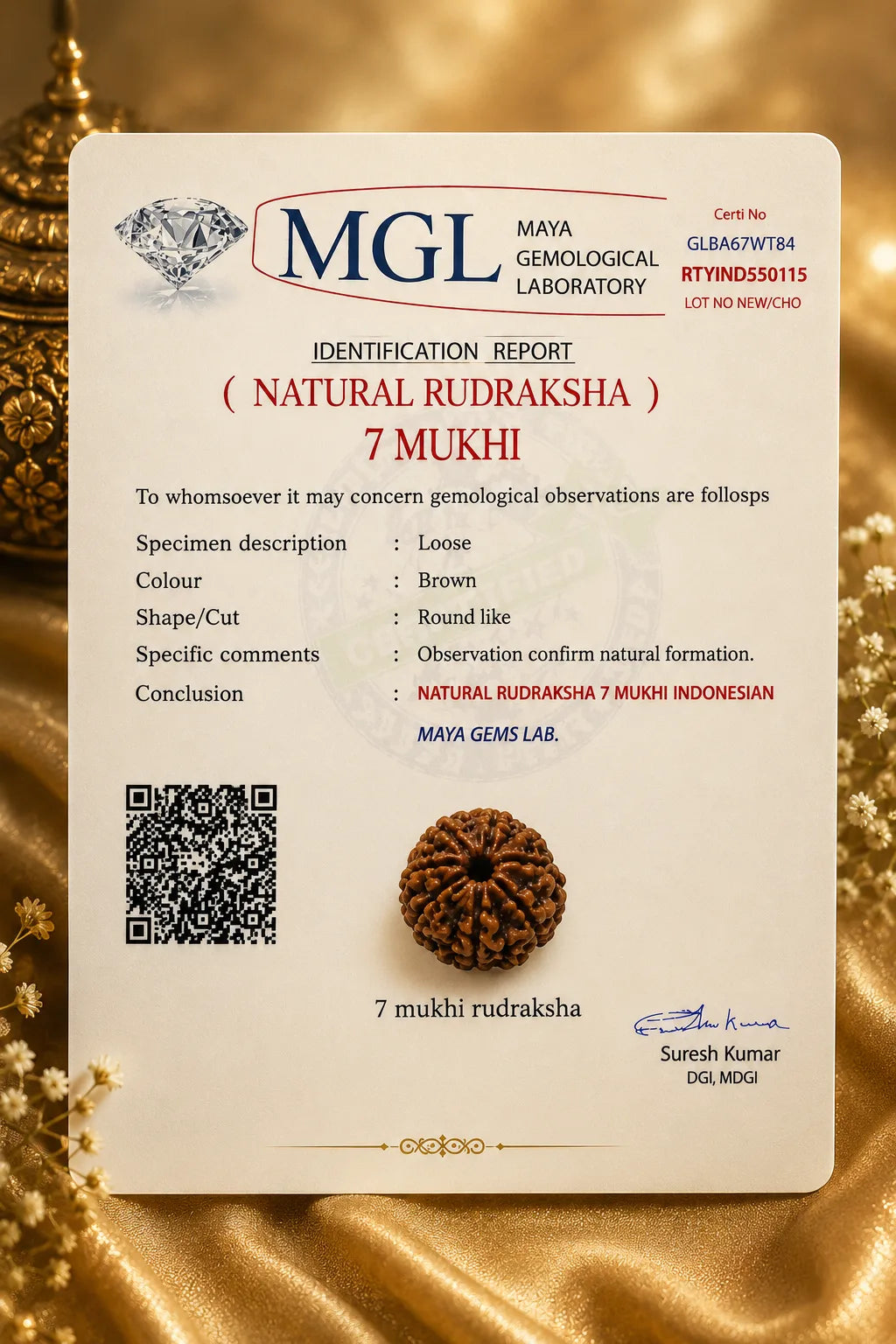 7 Mukhi Rudraksha