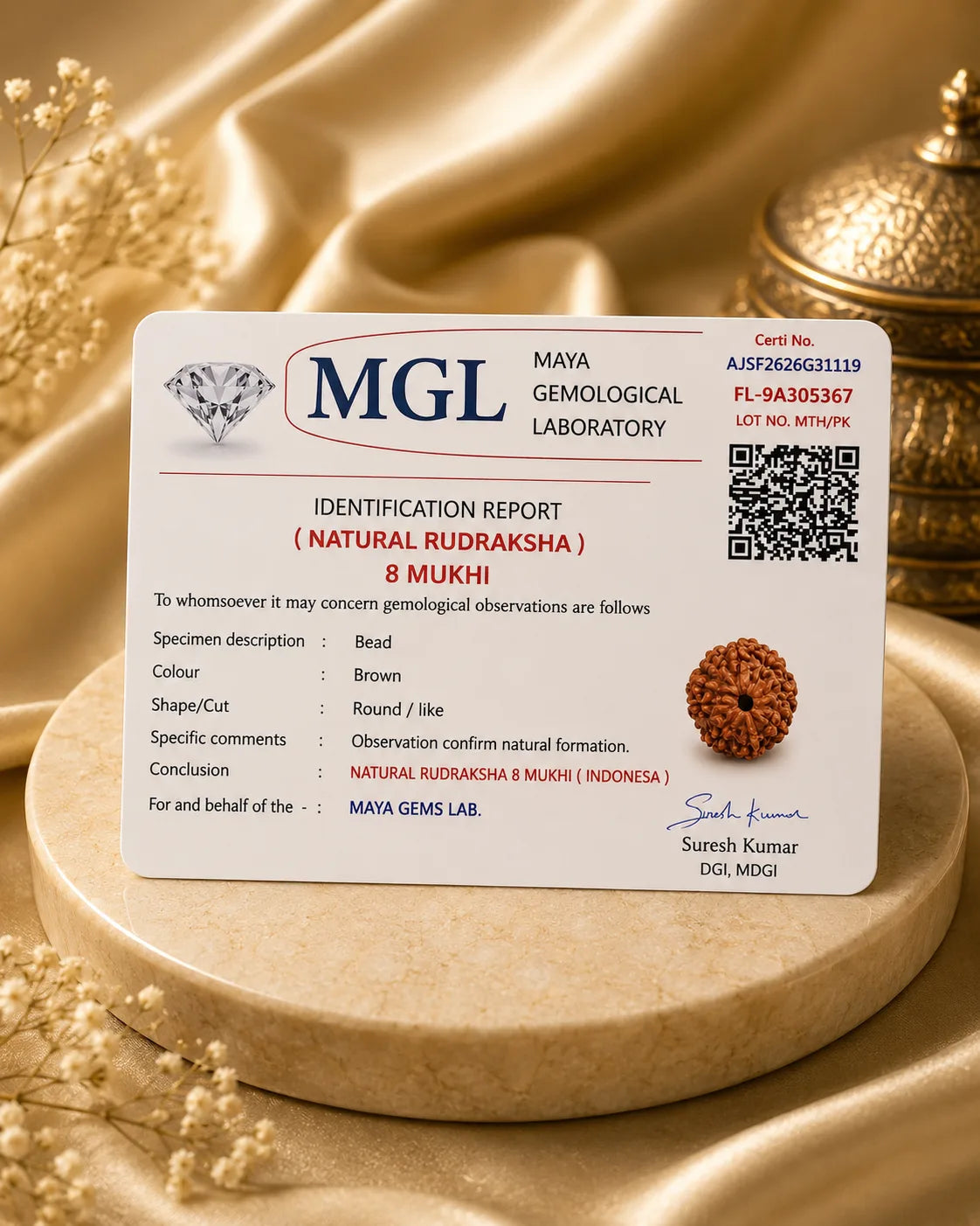 8 Mukhi Rudraksha