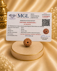 10 Mukhi Rudraksha