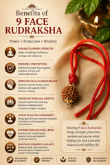 Rudraksha 9 Mukhi (Indonesia)