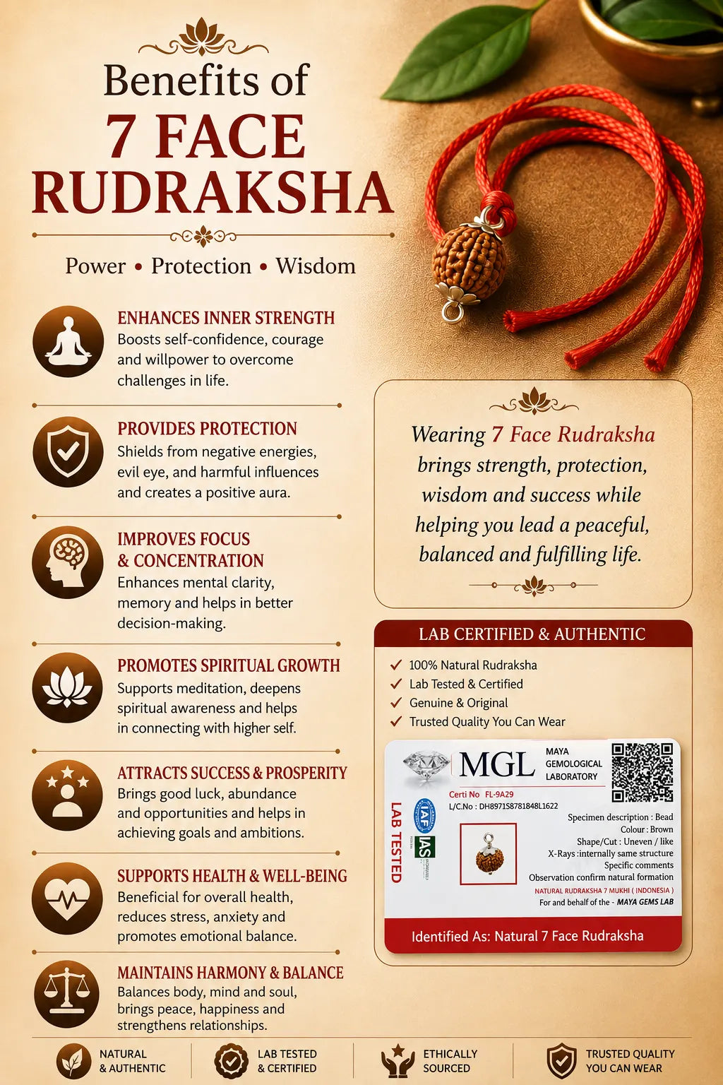 Rudraksha 7 Mukhi (Indonesia)