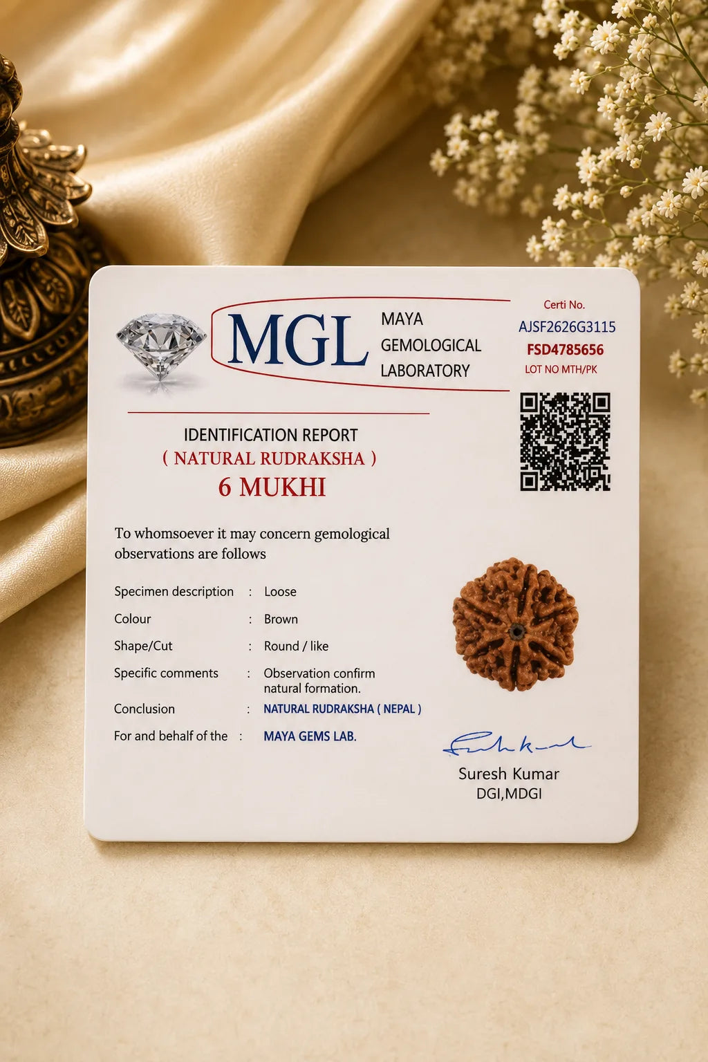 6 Mukhi Rudraksha