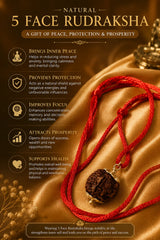 Rudraksha 5 Mukhi (Nepal)