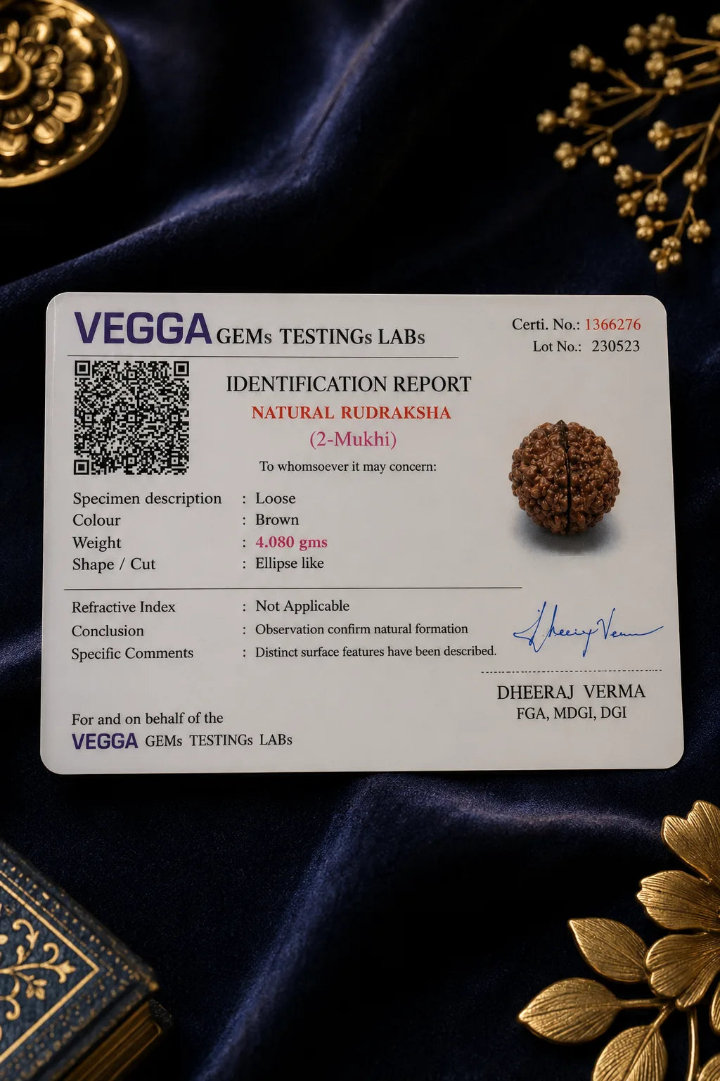 2 Mukhi Rudraksha