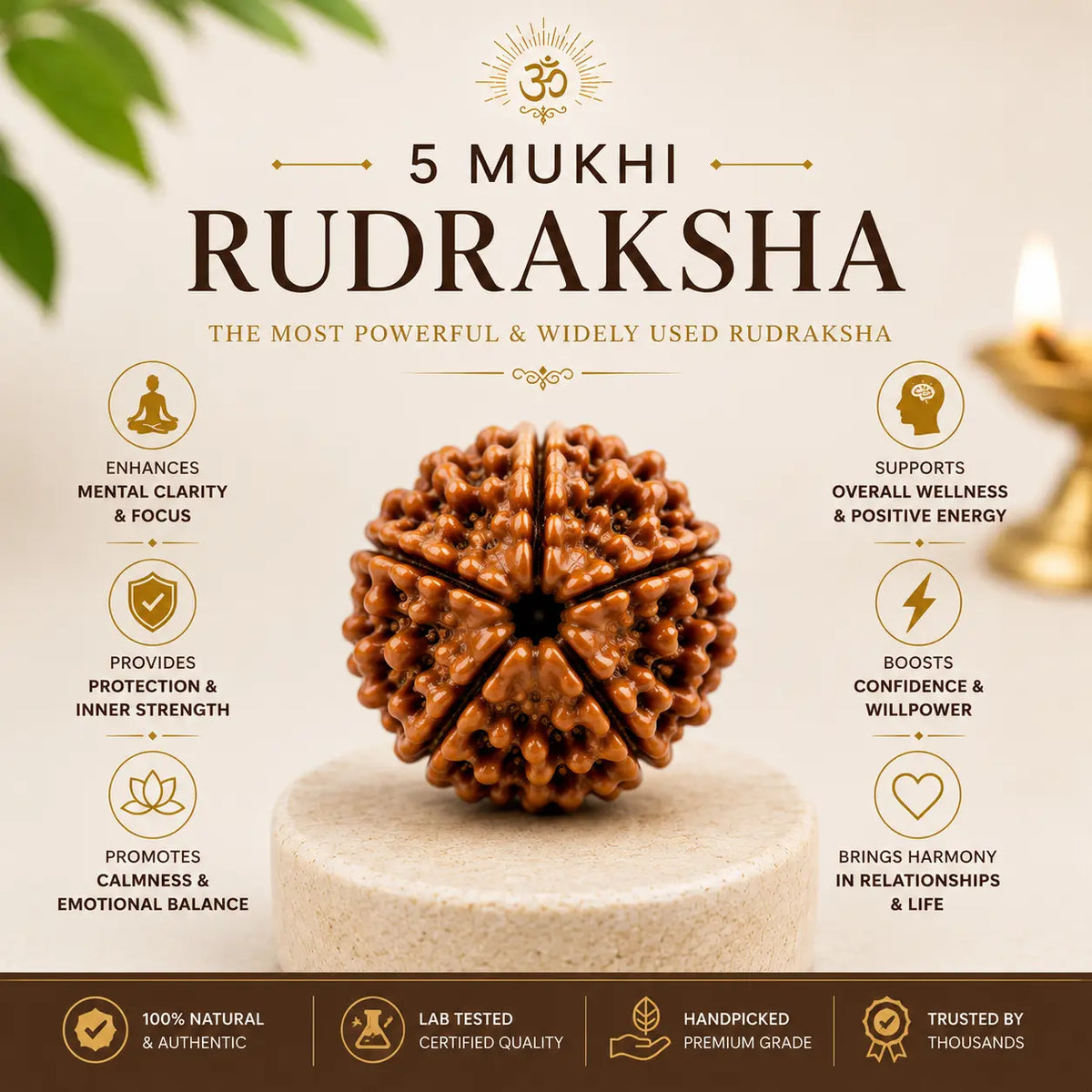 5 Mukhi Rudraksha