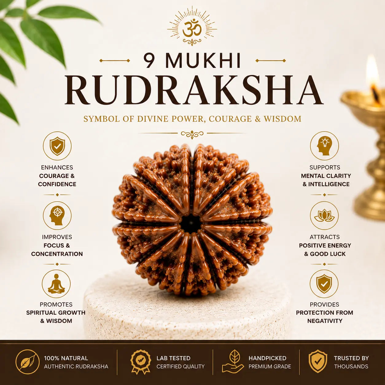 9 Mukhi Rudraksha