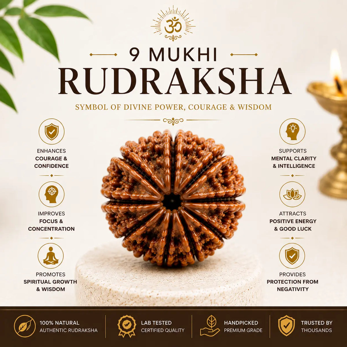 9 Mukhi Rudraksha